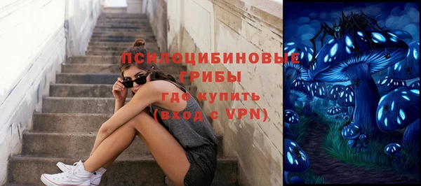 дурь Новозыбков