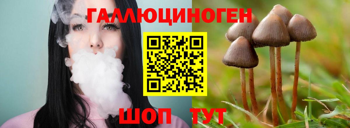 Галлюциногенные грибы Magic Shrooms  Вход с VPN  Галлюциногенные грибы мухоморы  закладка  Кудрово 