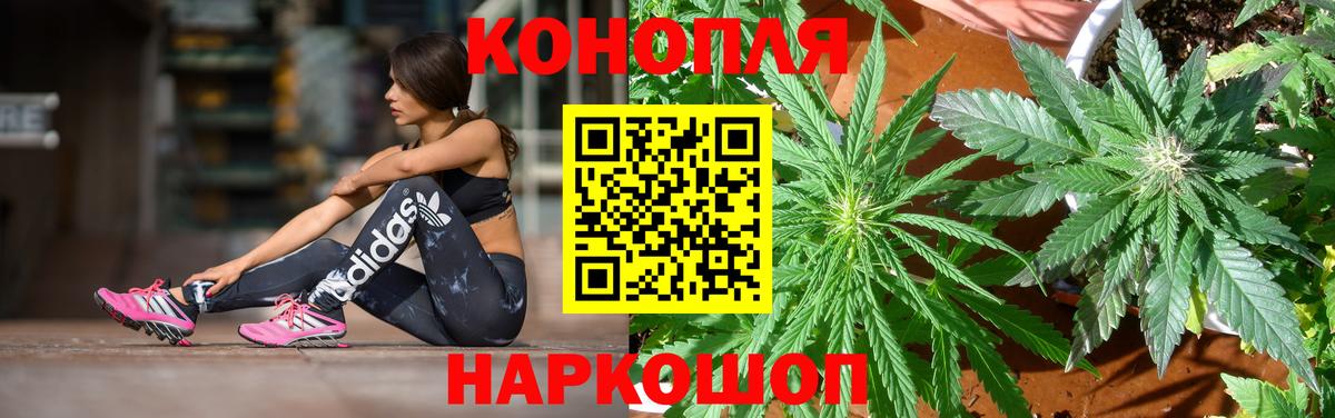 Шишки марихуана OG Kush  Каннабис семена  Кудрово  Шишки марихуана план  Вход с VPN 
